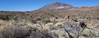 Teide-Panorama mit dem vorgelagertem hellen Montaña Blanca