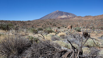Teide-Panorama mit dem vorgelagertem hellen Montaña Blanca