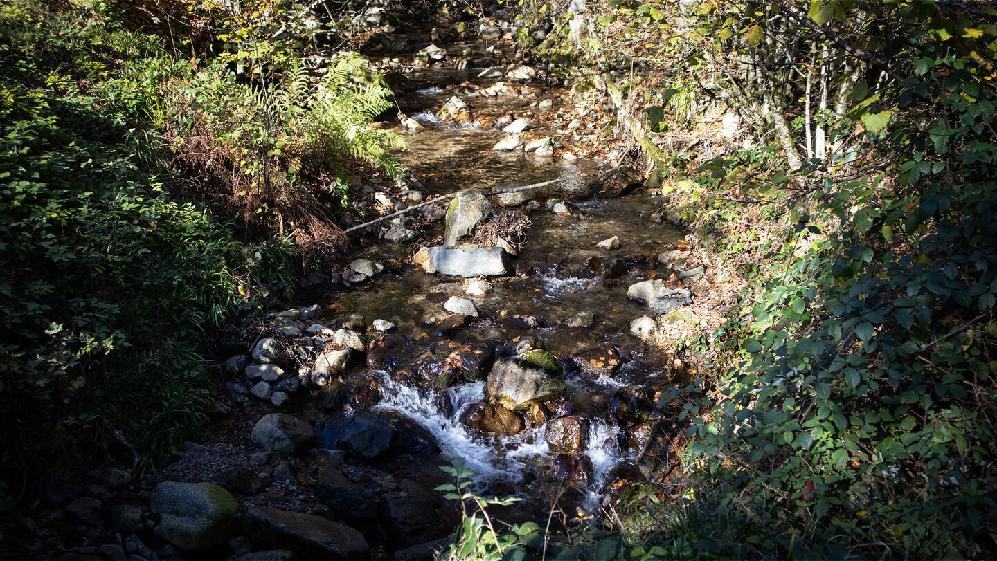 Bachlauf der Thur auf der Route zum Heidenbad-Wasserfall