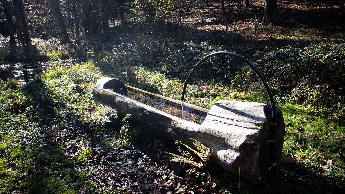 Brunnen am Wanderweg zum Heidenbad-Wasserfall
