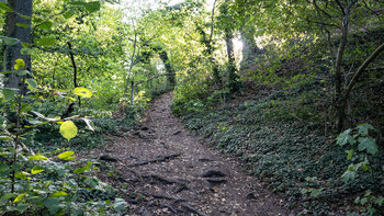 Wanderweg zur Ruine Neukastel vom Slevogthof