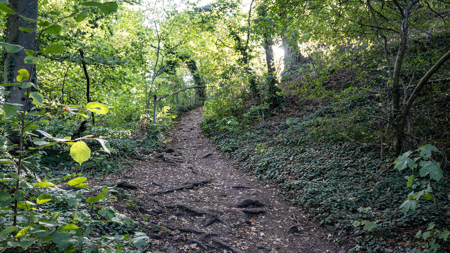 Wanderweg zur Burgruine Neukastel vom Slevogthof Wanderweg zur Ruine Neukastel vom Slevogthof