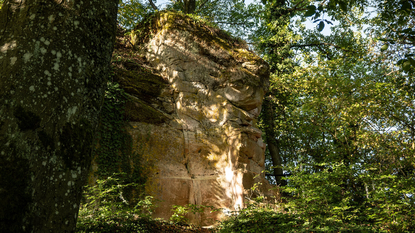 der Burgfels der Ruine Neukastel bei Leinsweiler Burgfels der Ruine Neukastel bei Leinsweiler