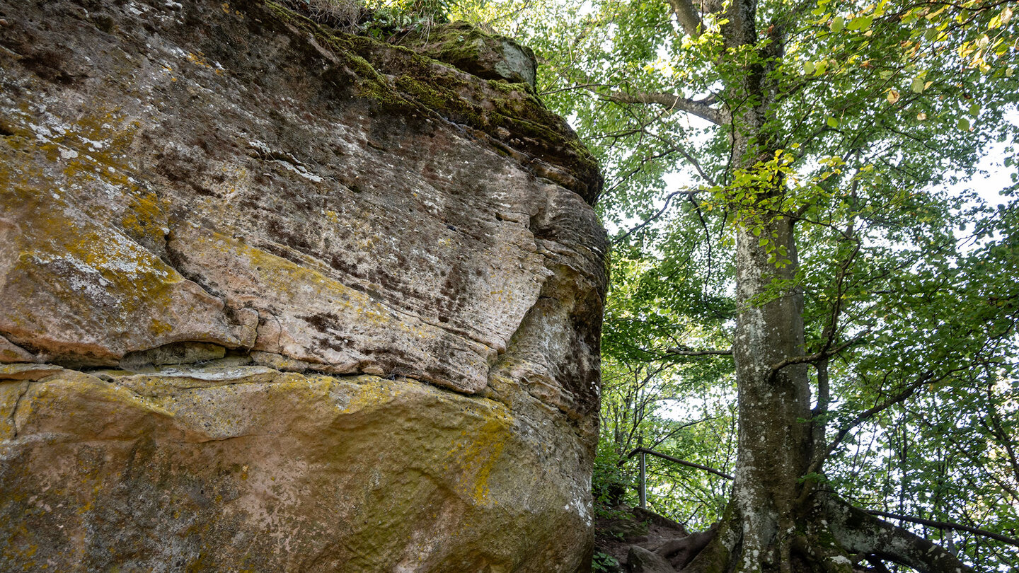 verwitterte Felsen am Wanderweg zur Burgruine Neukastel verwitterte Felsen bei der Burgruine Neukastel