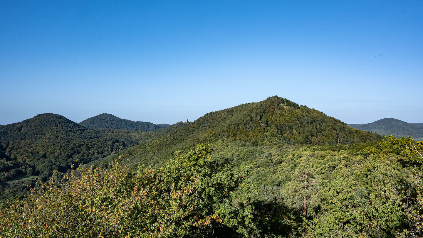 Ausblick von der Burg Neukastel über den Pfälzerwald bis zur Burg Scharfenberg Ausblick von der Burg Neukastel über den Pfälzerwald bis zur Burg Scharfenberg