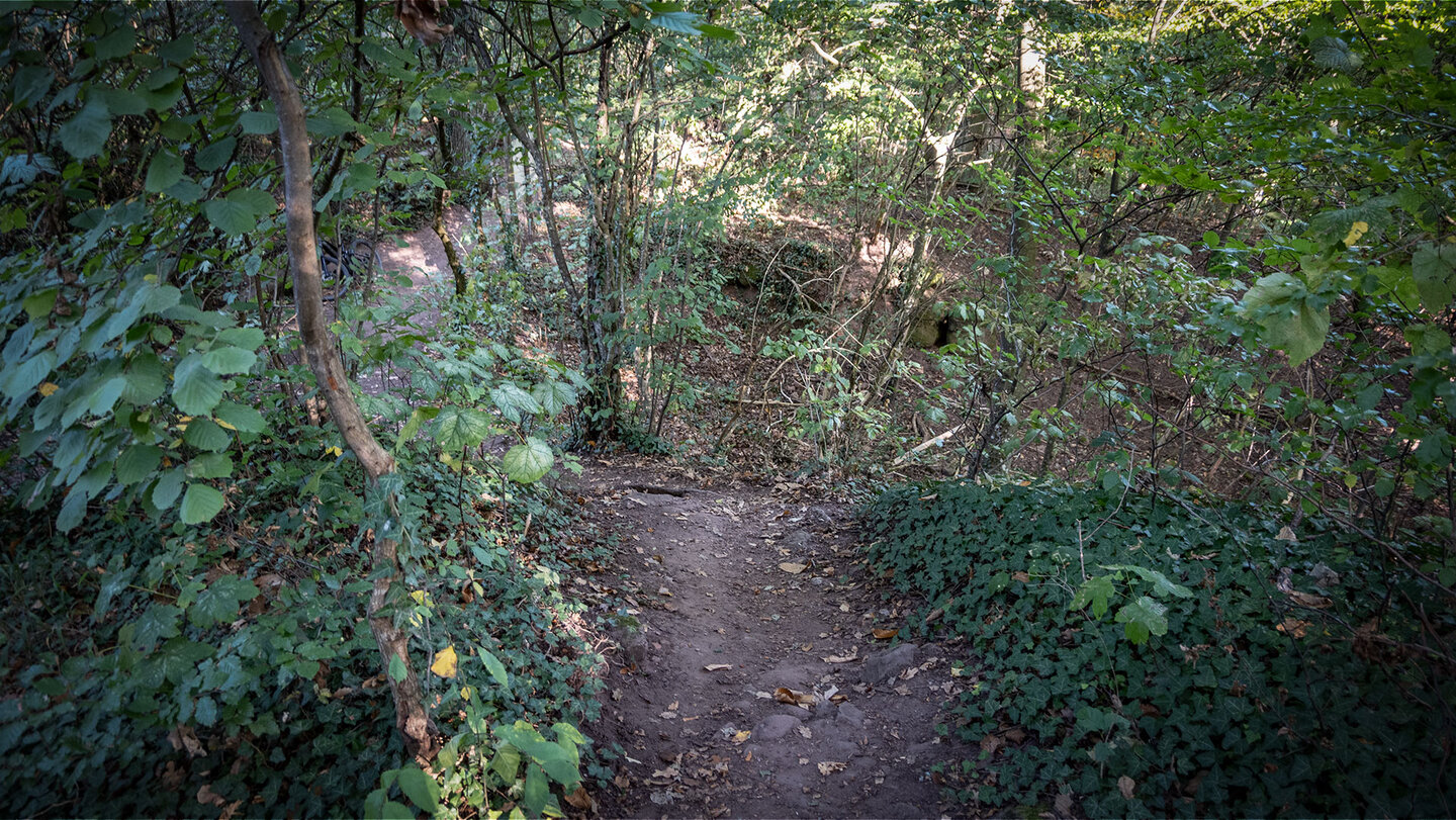 Wanderpfad von der Burgruine Neukastel zum Slevogthof Wanderpfad von der Burgruine Neukastel zum Slevogthof