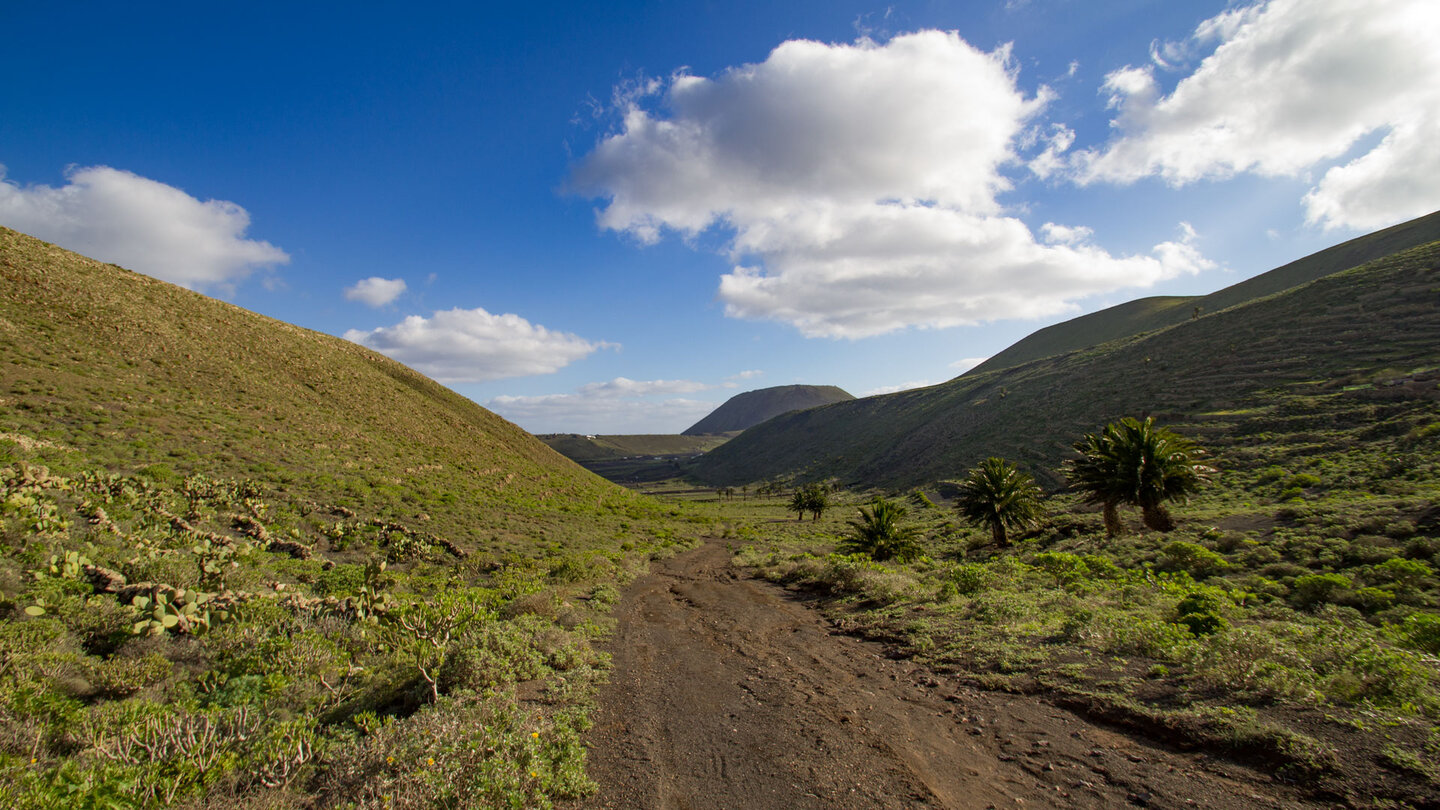 Wanderweg im Valle de Guinate mit dem Monte Corona im Hintergrund