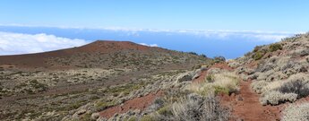 Abwanderung zum roten Vulkankegel des Montaña Limón