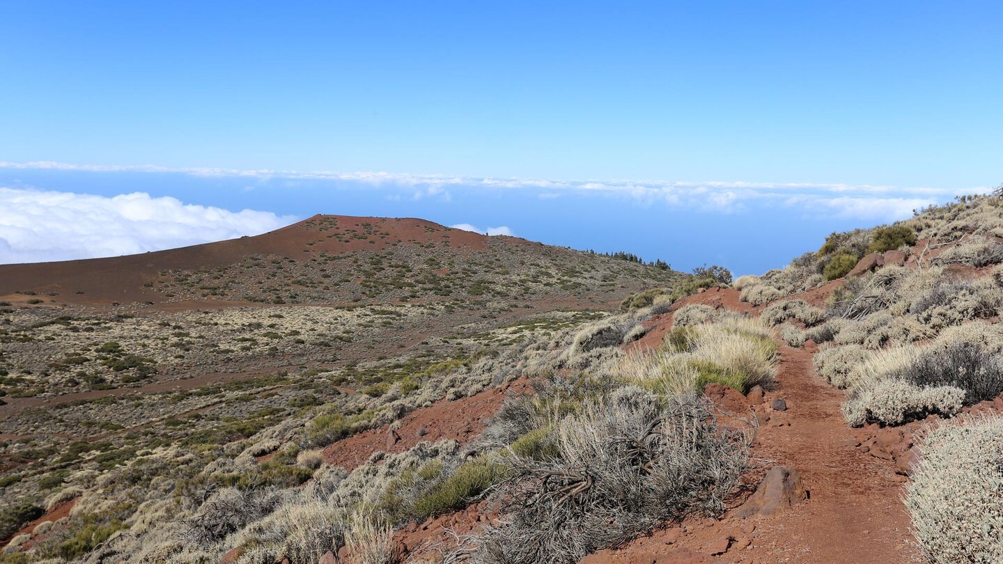 Abwanderung zum roten Vulkankegel des Montaña Limón