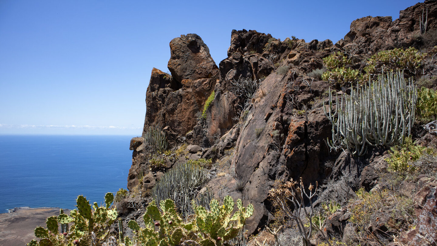 mit Kakteen und Wolfsmilchgewächsen besiedelte Felsformation entlang der Abwanderung zur Tiefebene Punta de Teno
