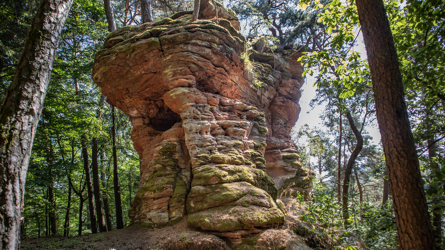 Versteckt im Wald: Eichelturm am Eichelberg.