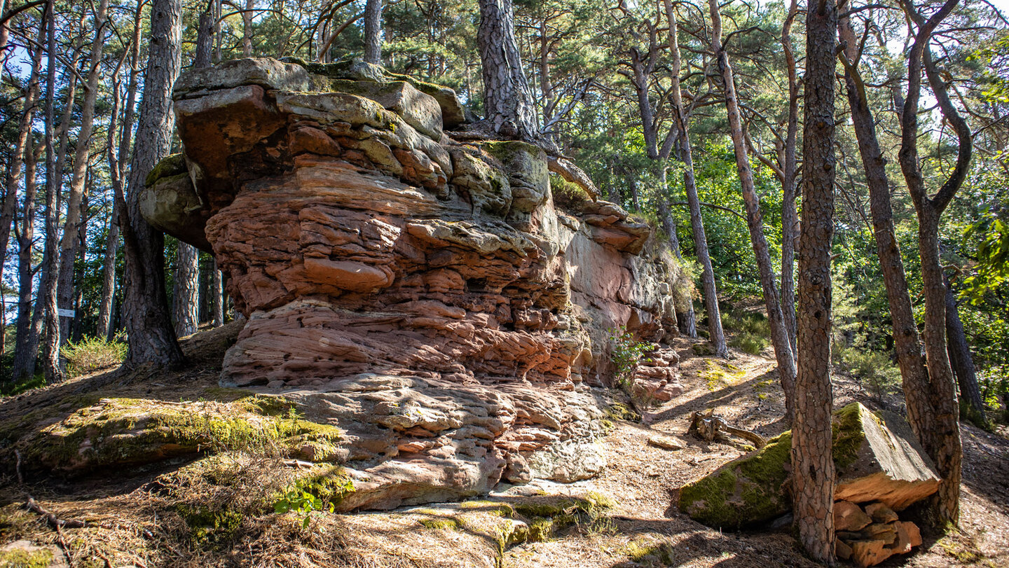 Buntsandsteinformation am Abzweig zur Eichelbergplatte.