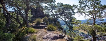 Vom Kreuzfelsen aus, hoch über Busenberg gelegen, öffnet sich der Blick auf das Dorf und die umliegende Felsenlandschaft des Wasgaus.