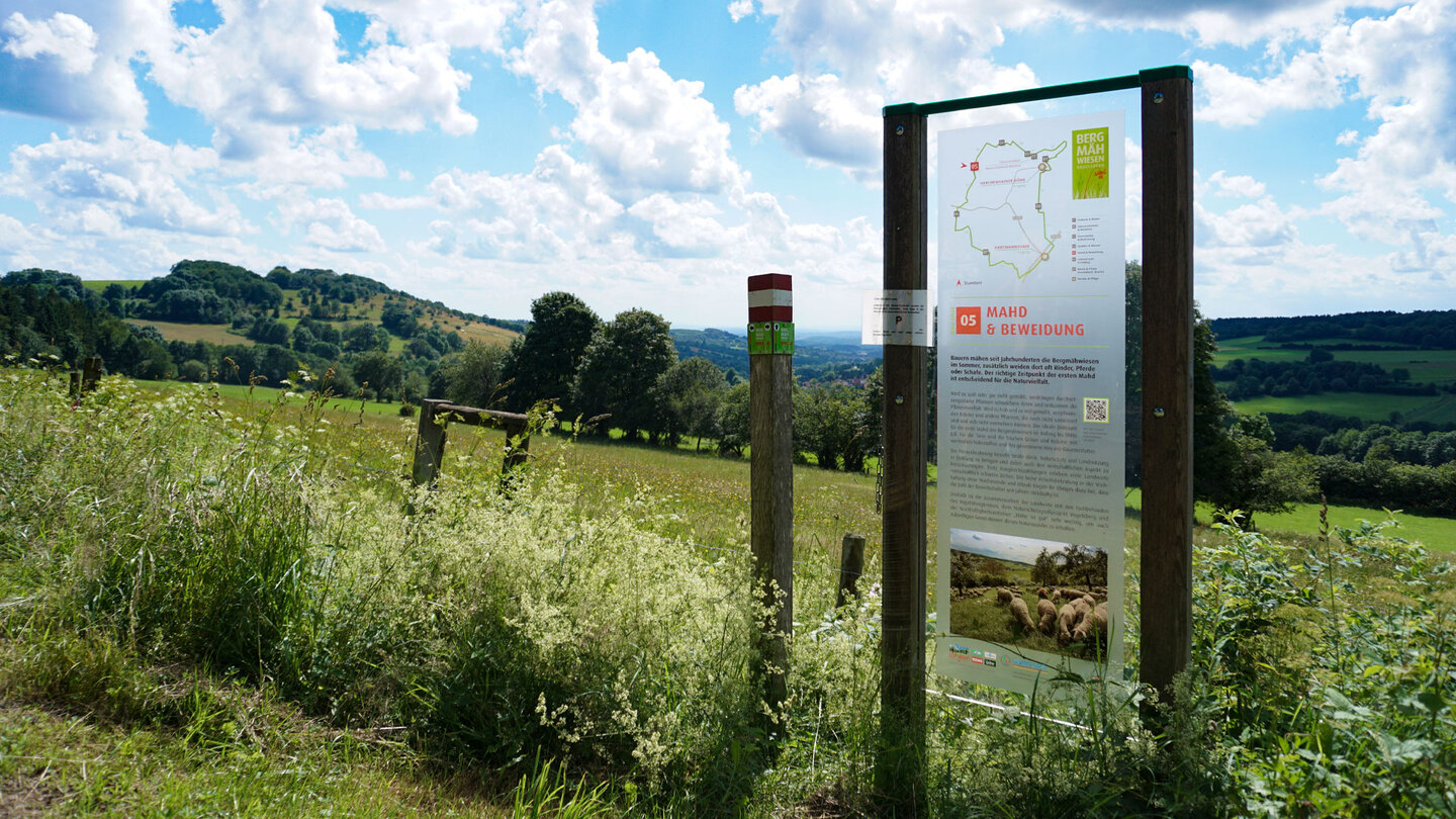 Informationstafel am Bergmähwiesenpfad mit Ernstberg im Hintergrund Informationstafel am Bergmähwiesenpfad im Naturpark Vulkanregion Vogelsberg