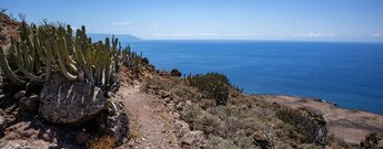 Ausblick vom Wanderweg auf die Tiefebene Punta de Teno