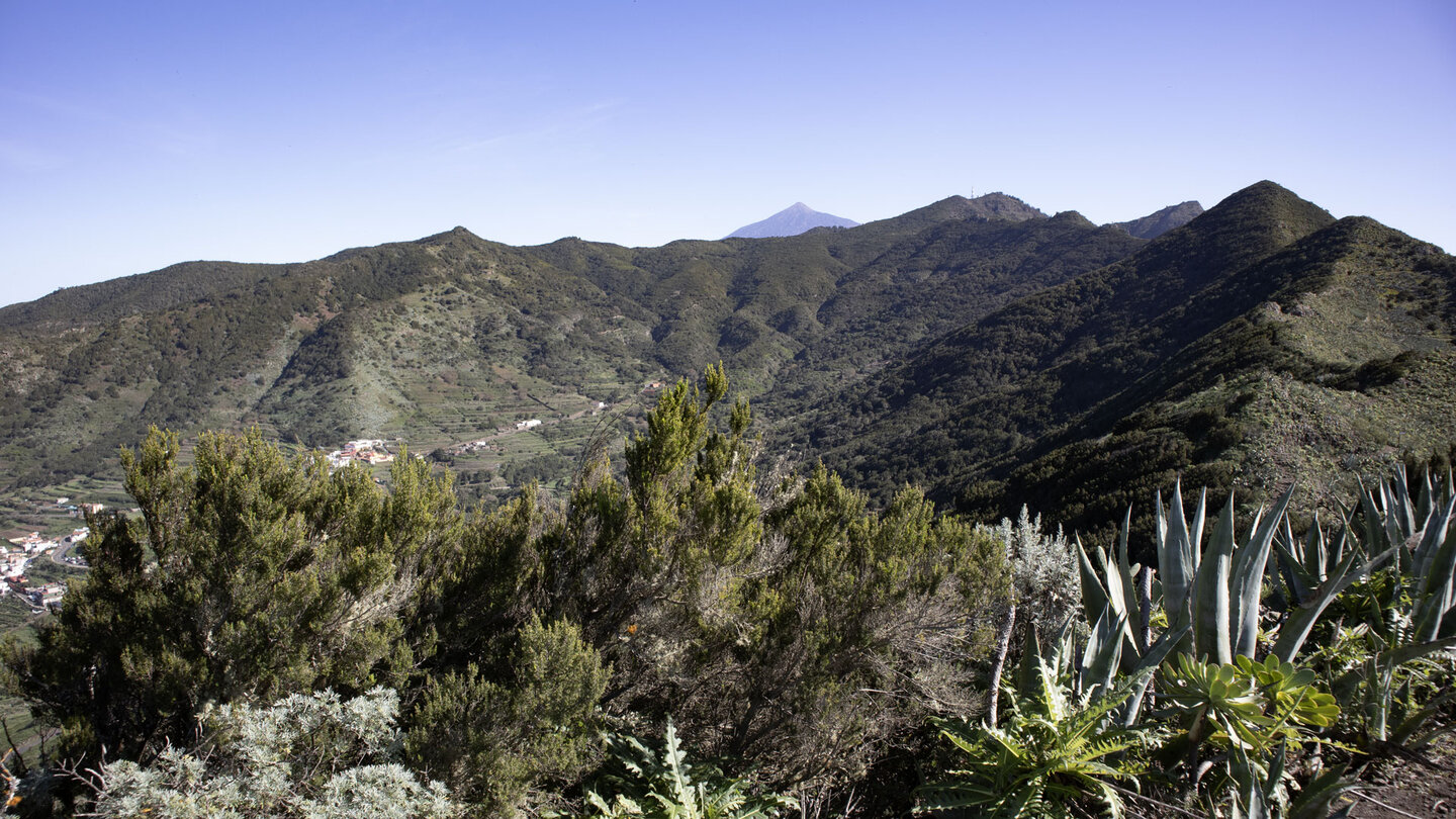 der Teide erhebt sich über dem immergrünen Lorbeerwald Monte del Agua