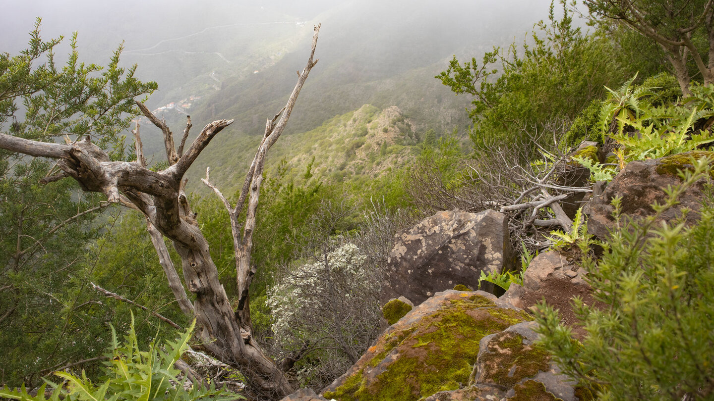 Blick in die wolkenverhangene Masca-Schlucht