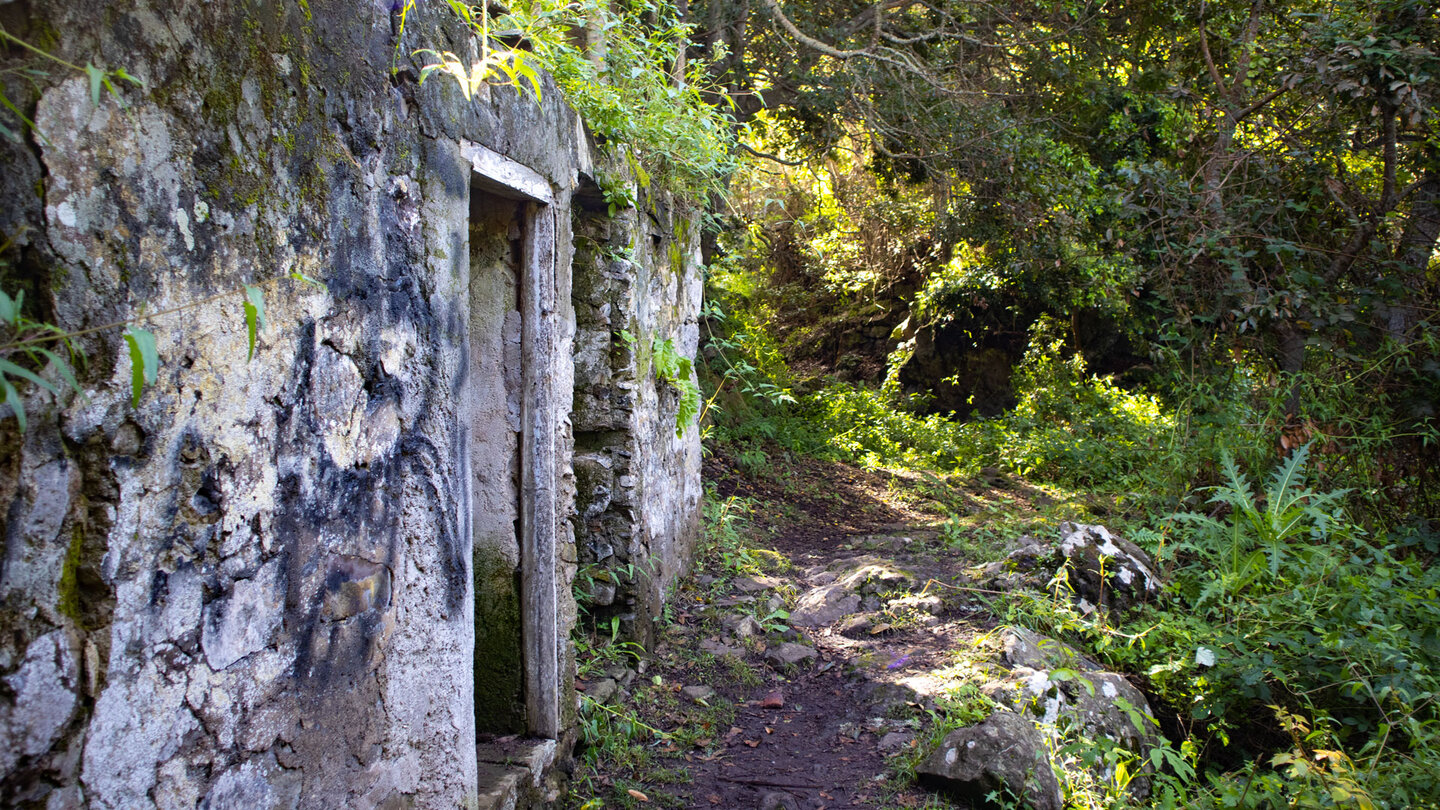 die Ruinenhäuser Cuevas Negras umgeben von üppiger Vegetation