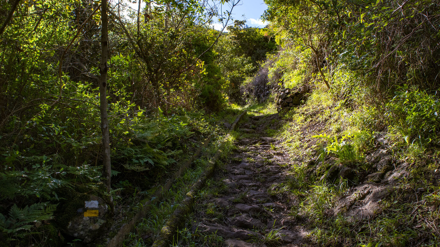 gepflasterter Wanderweg beim verlassenen Weiler Cuevas Negras