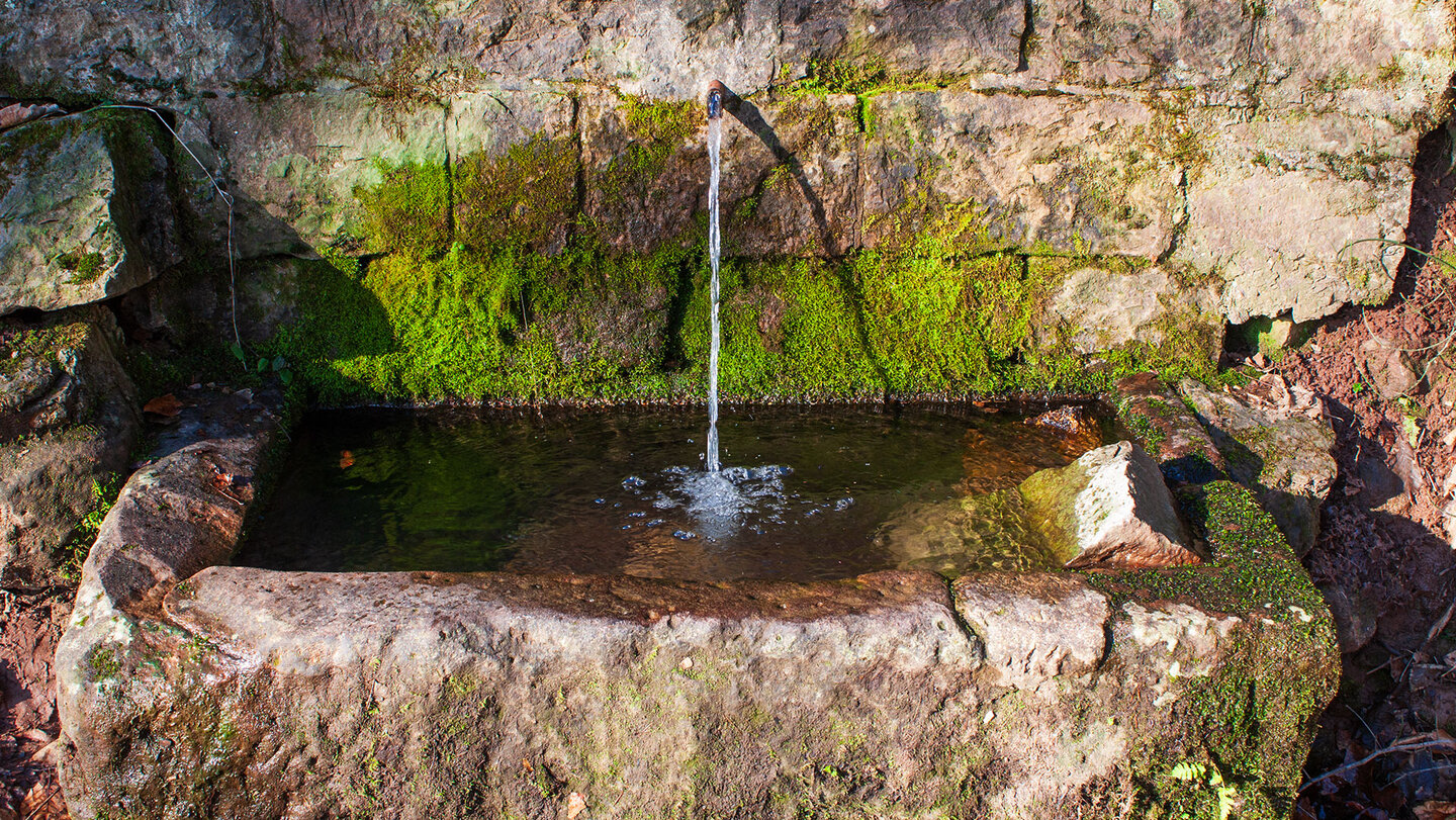 Brunnen auf der Route zum Stift Neuburg Brunnen auf der Route zum Stift Neuburg
