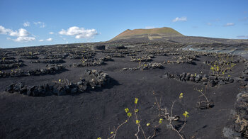 Blick über das Weinbaugebiet La Geria zum Vulkan Juan Bello auf Lanzarote