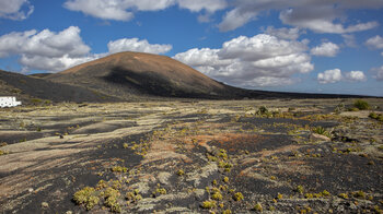 Weg durch die Lavafelder zum Montaña de Juan Bello bei Masdache auf Lanzarote