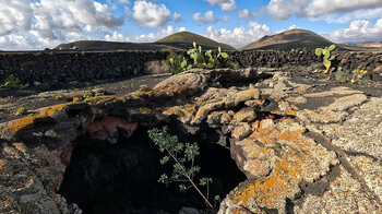 Blick in die Vulkanröhre Cueva de las Palomas auf Lanzarote