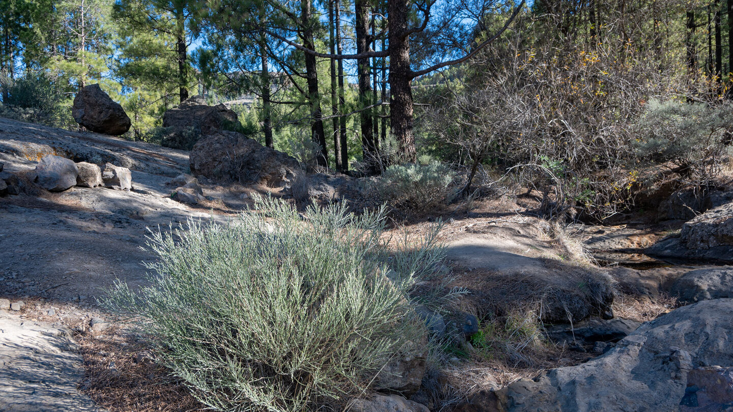 Wanderweg durchs Barranco del Nublo