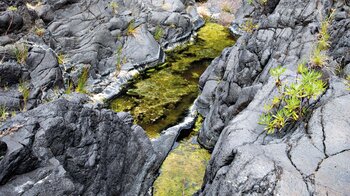 Wasserbassins im Bachbett des Barranco del Río