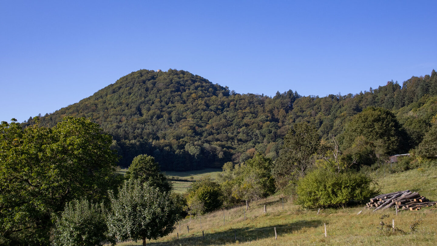 Blick zur Wegelnburg von Nothweiler