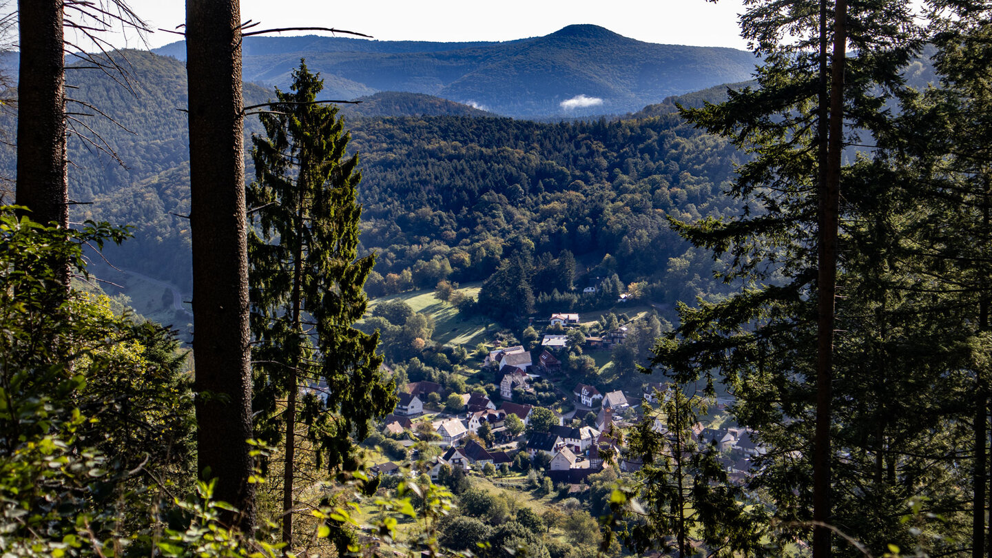 Ausblicke auf Nothweiler entlang des Wanderwegs