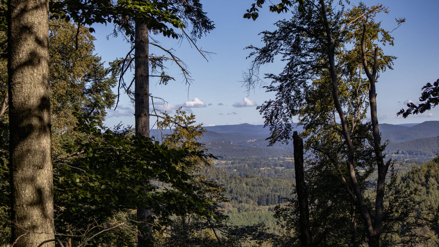 Aussicht mit Blick auf die Dahner Burgen