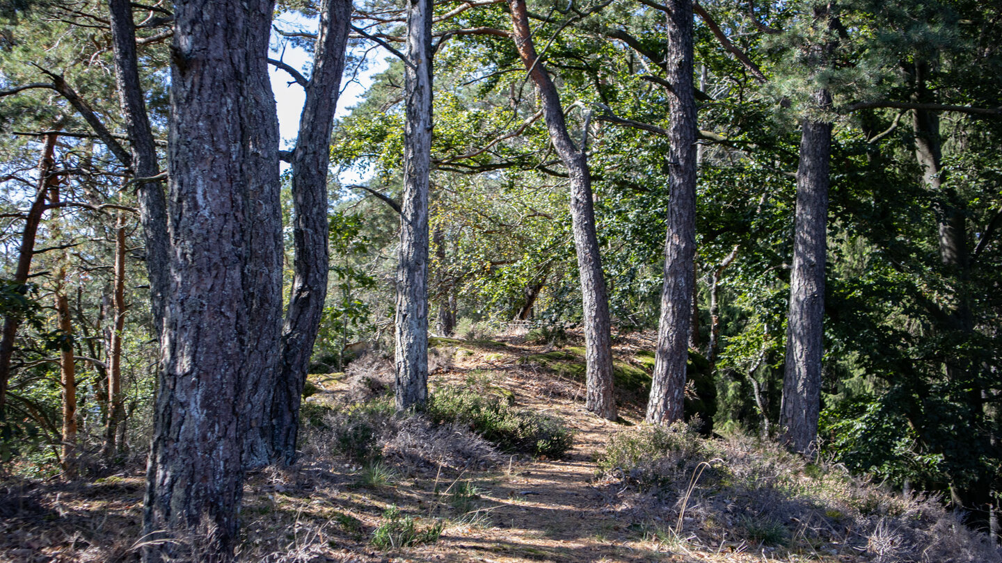 Wanderpfad auf dem Felsplateau des Schlüsselfels