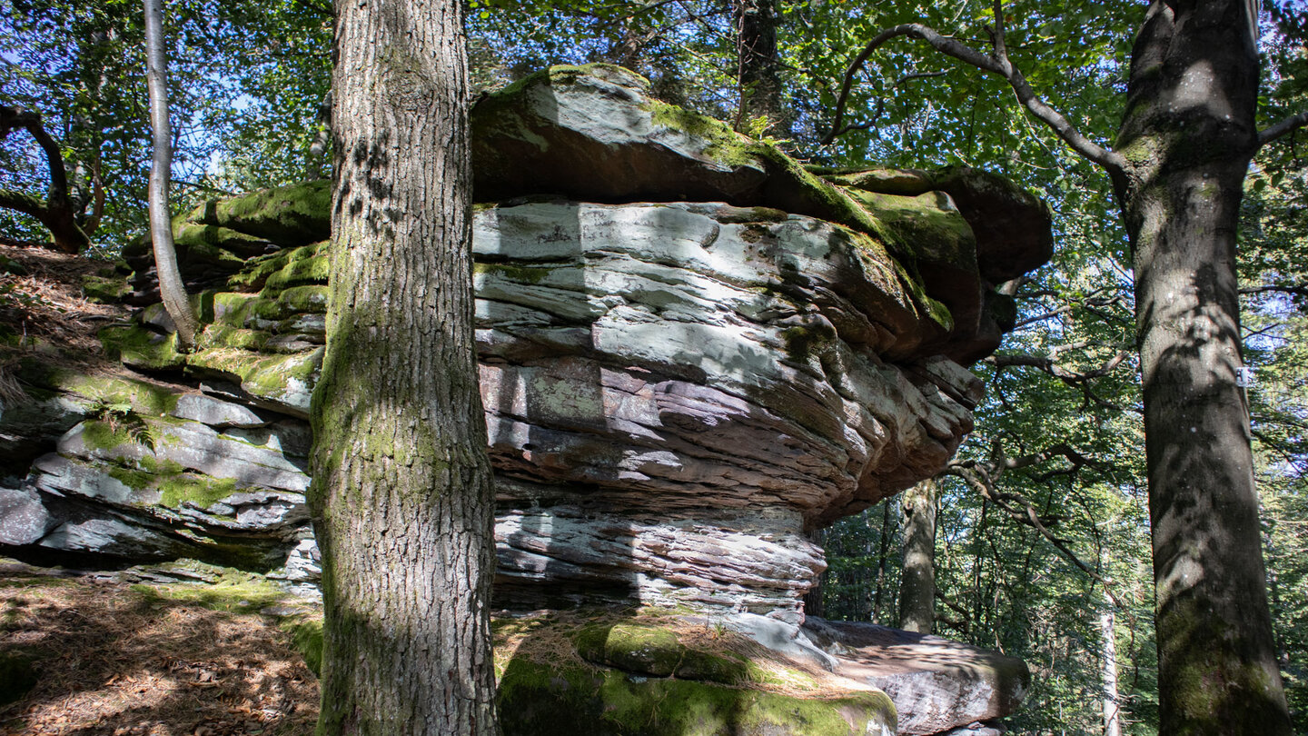 Felsformation auf dem Schwobberg