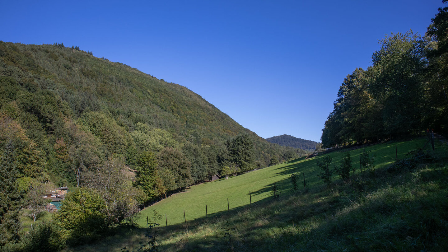 das Wildgehege im Schwobtal das Wildgehege im Schwobtal