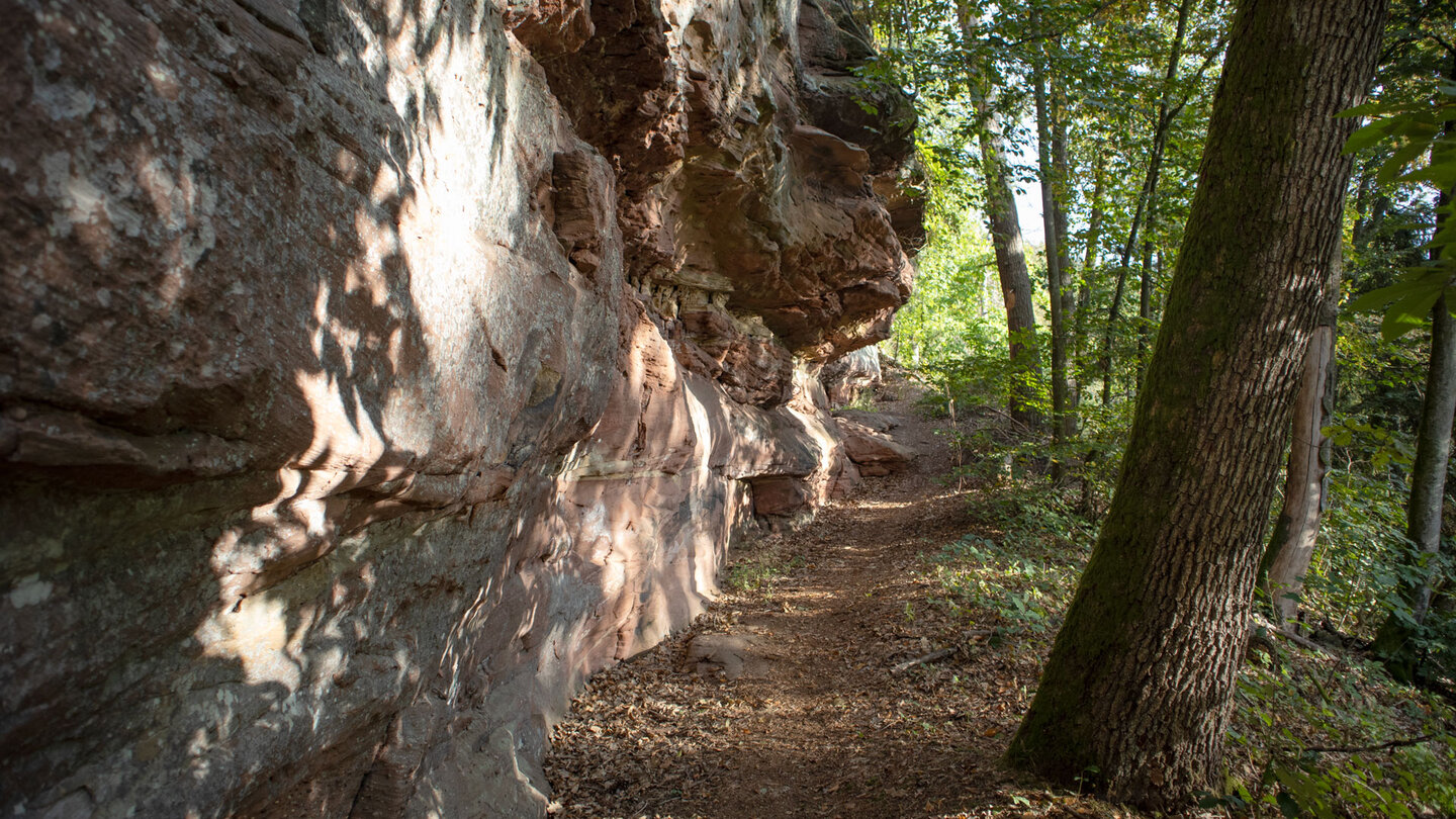 Wanderweg unterhalb des Felsriffs Langer Fels