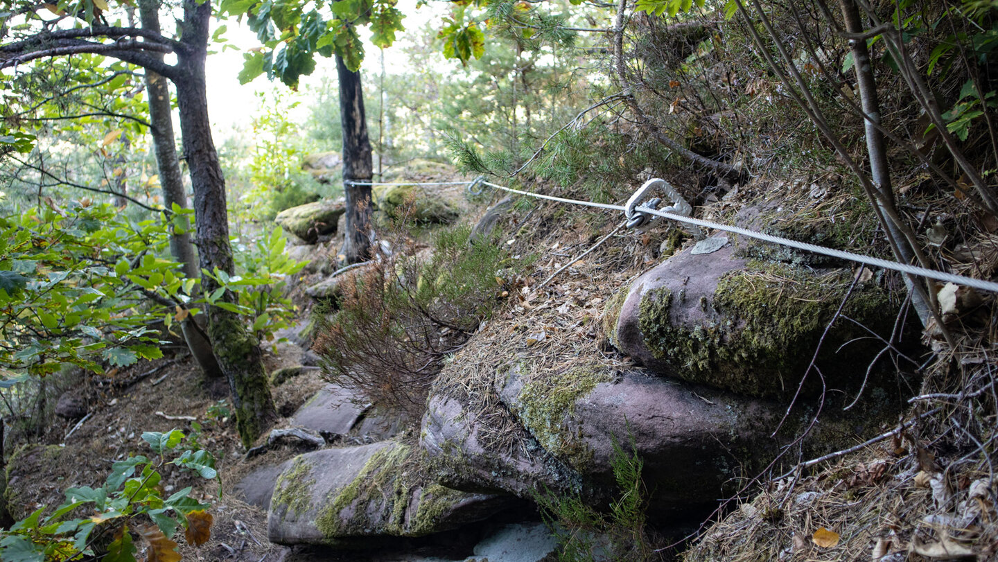 Gesicherter Zustieg am Hockerstein mit gespanntem Stahlseil über flechtenbedeckte Felsblöcke im lichten Mischwald
