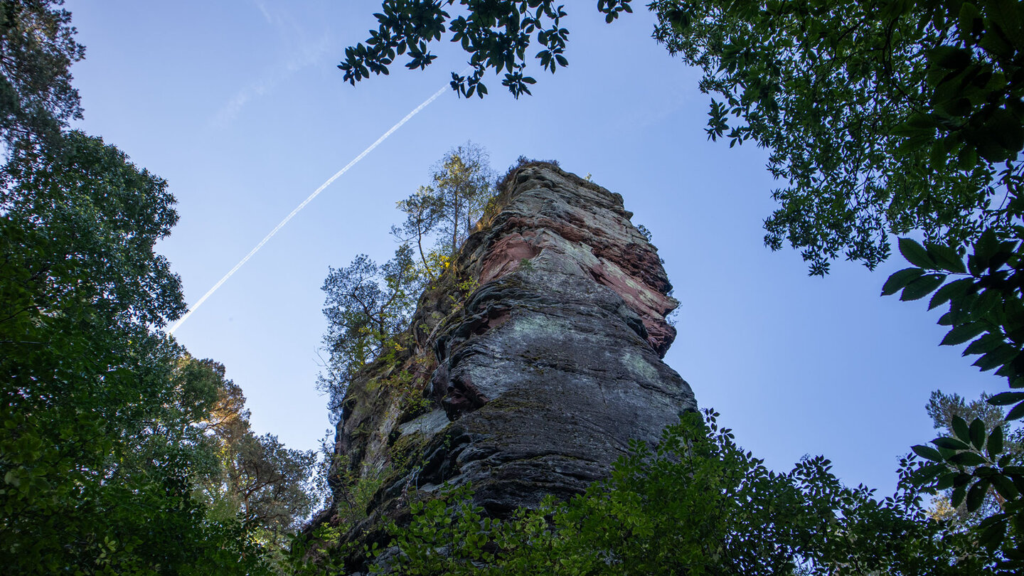 Hoher geschichteter Buntsandsteinturm des Hockersteins von unten gesehen, umrahmt von Laubkronen und einem Kondensstreifen am blauen Himmel
