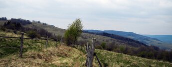 Blick in die Rhön