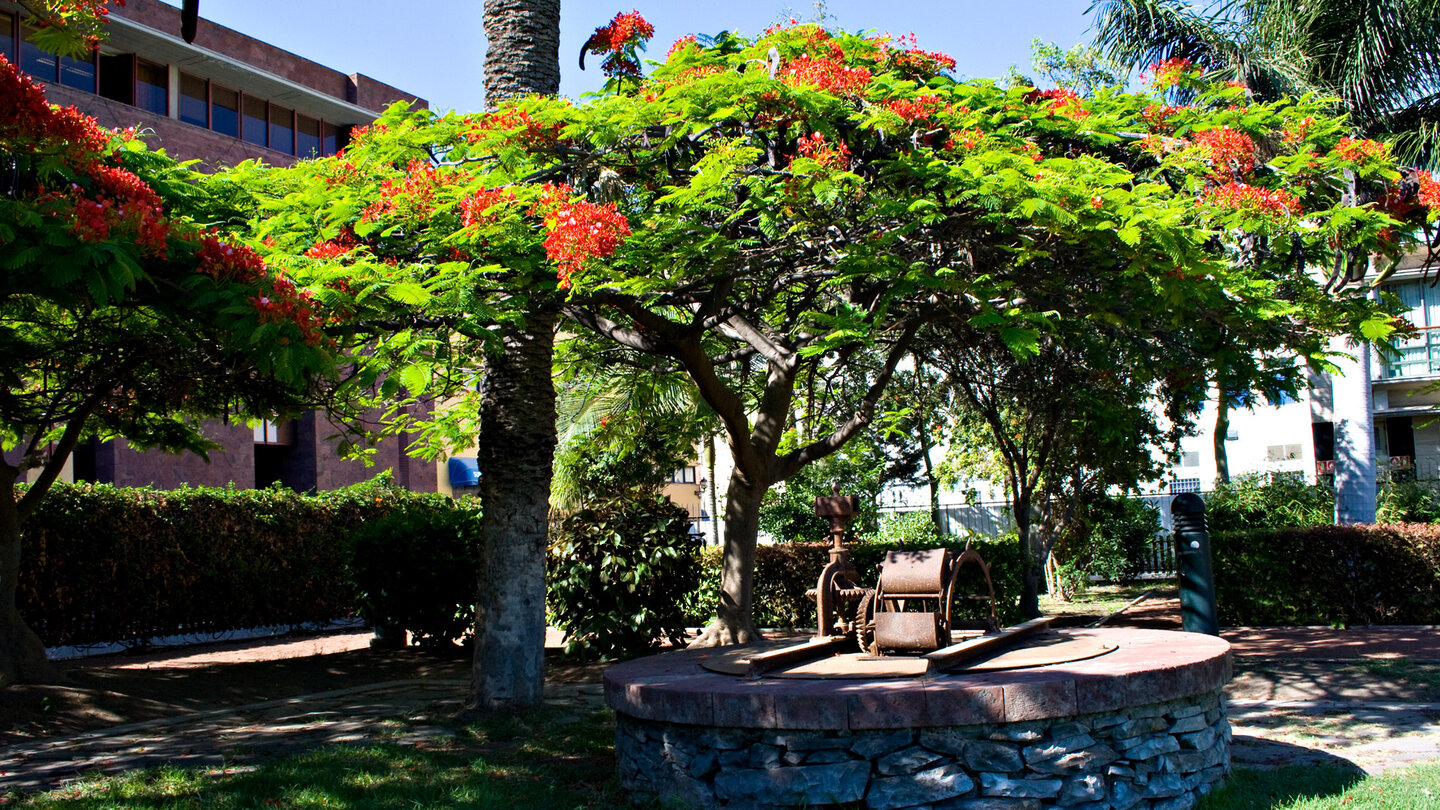 alter Brunnen im Parque de la Torre del Conde in San Sebastián de la Gomera