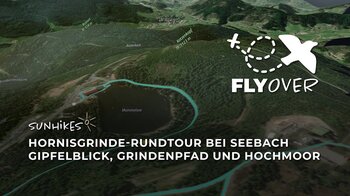 Hornisgrinde-Rundtour bei Seebach: Gipfelblick, Grindenpfad und Hochmoor – Flyover