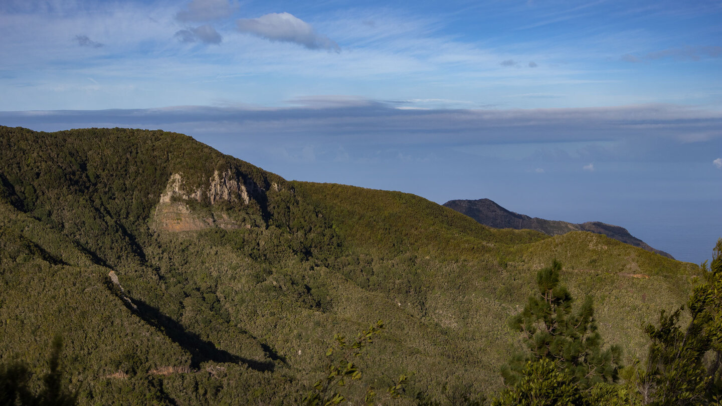 Blick über den grünen Lorbeerwald des Teno