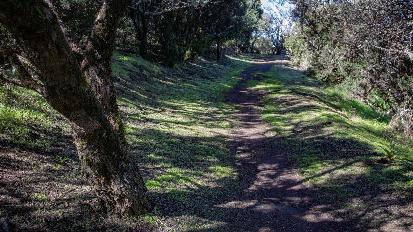 Wanderweg bei den Casas de Cumbre