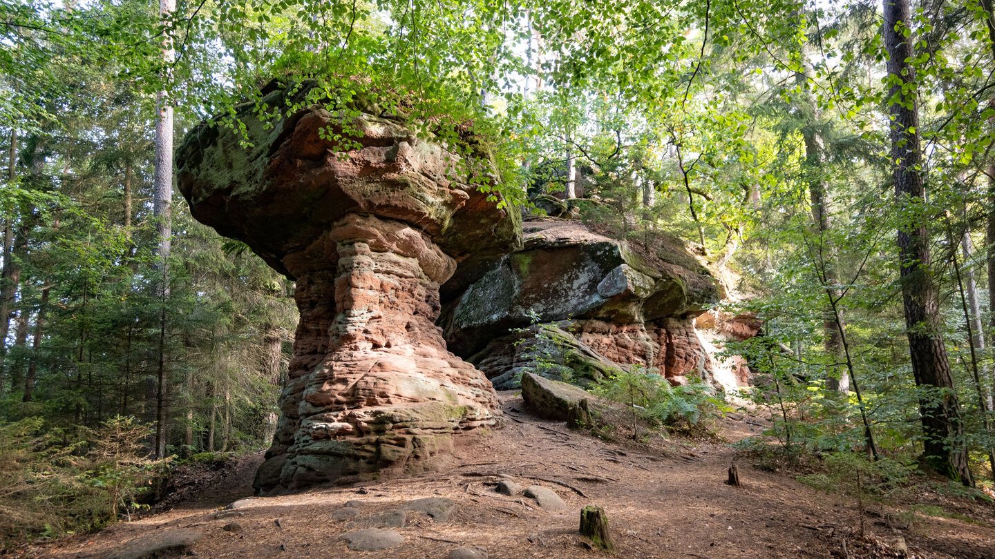 der Hexenpilz liegt an der Wanderroute zur Burg Neudahn