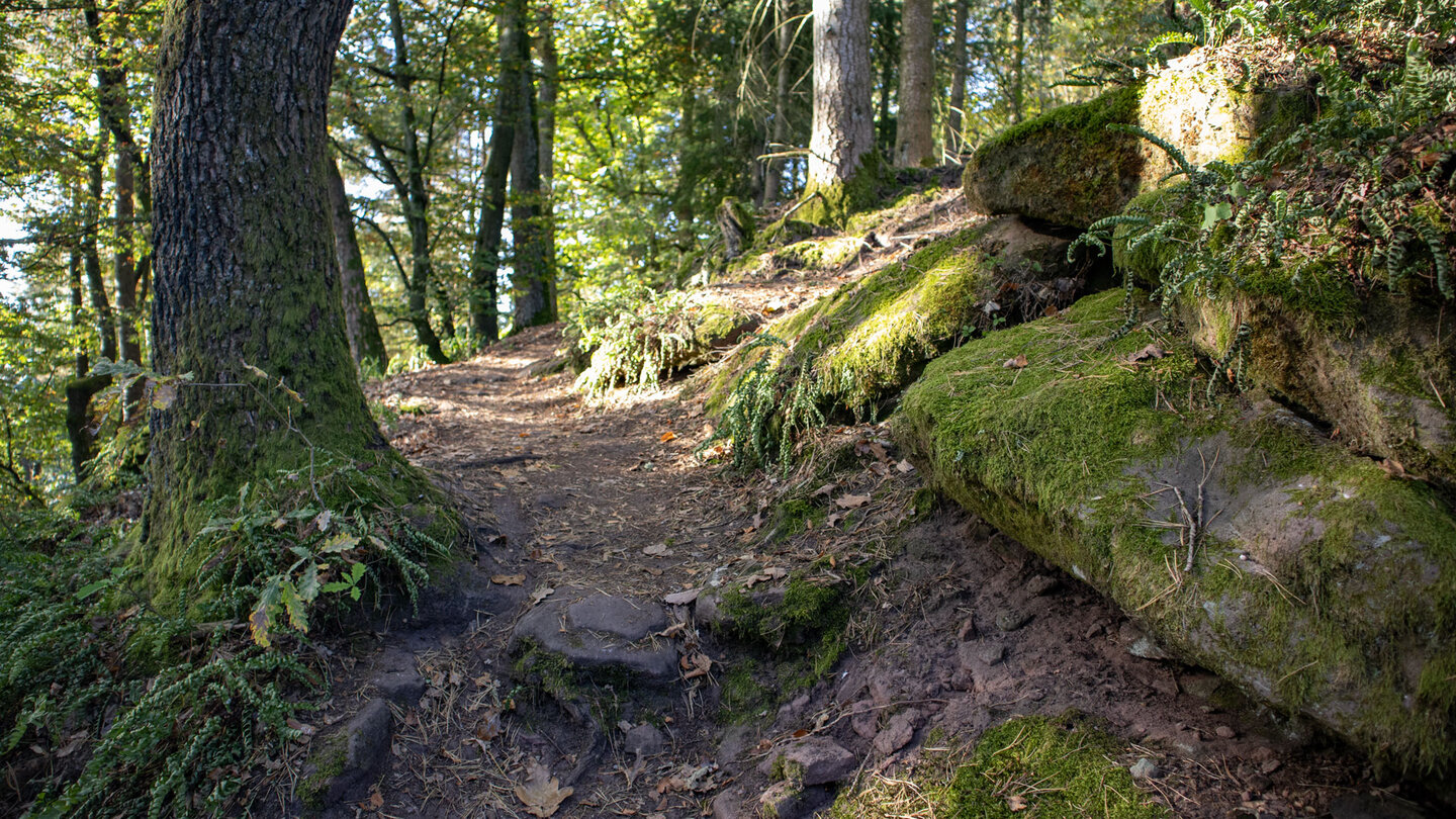 Wanderpfad zum Schweinsfelsen