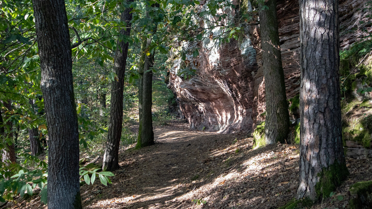 Wanderweg am Sandsteinriff des Schweinsfelsen