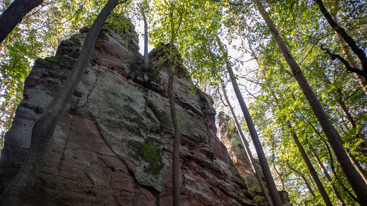 die Felsformation Dreifelsen