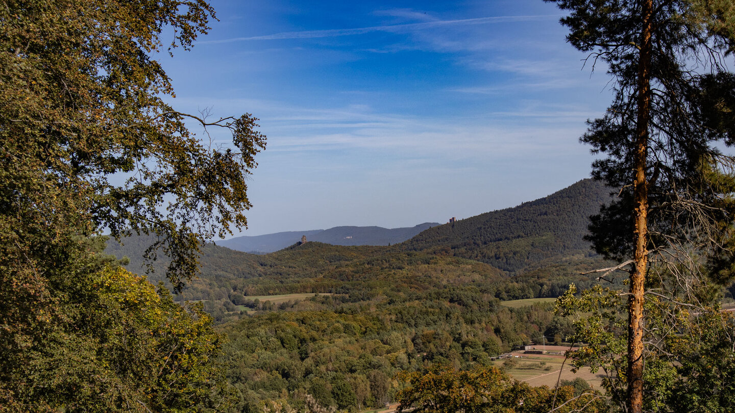 Ausblick auf die Burg Trifels vom Steiner 4-Burgenblick