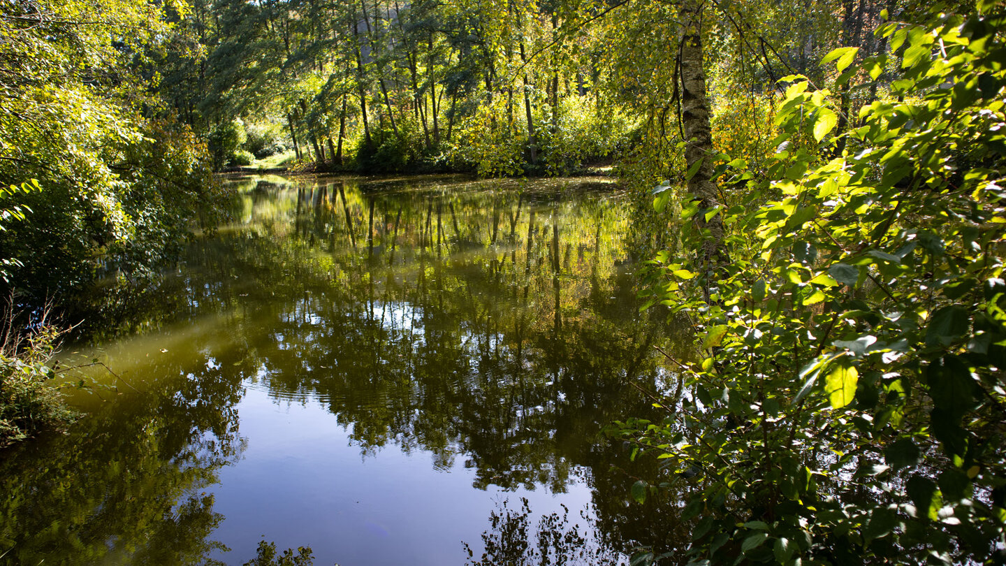 Spiegelung auf dem Silzer See