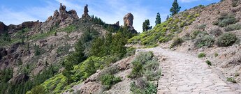 Wanderweg zum Roque Nublo auf Gran Canaria Wanderweg